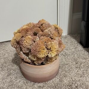 Threshold Decorative Faux Succulent in Tan Ceramic Pot